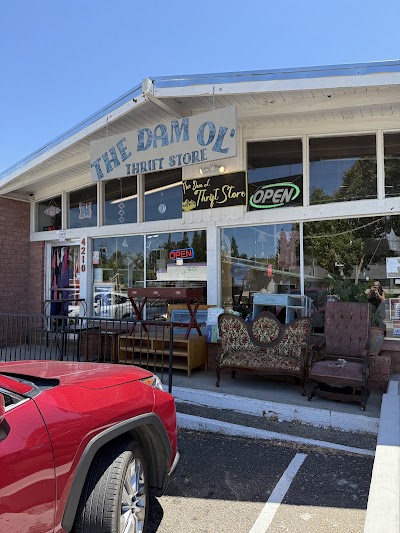 The Dam Ol’ Thrift Store